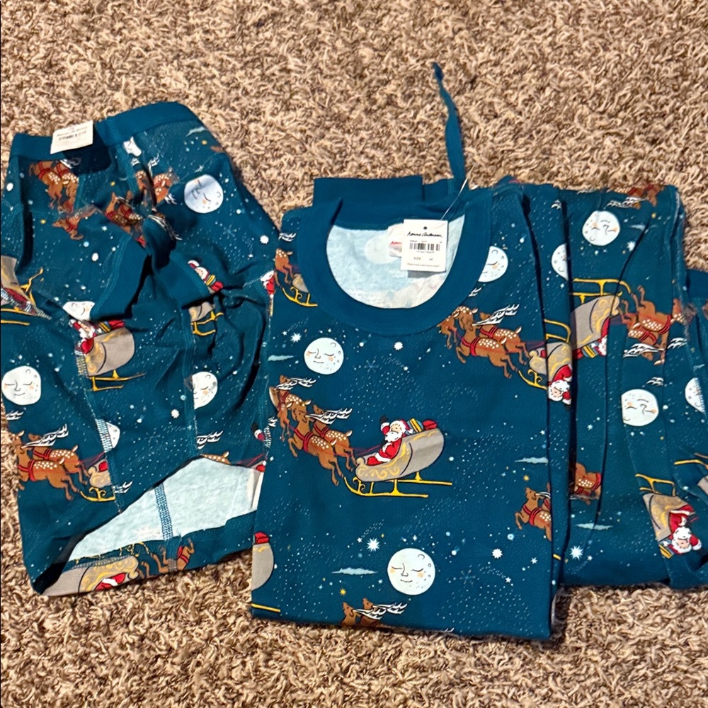 Hanna Andersson Blue Santa Sleigh Pajamas matching Dog pjs